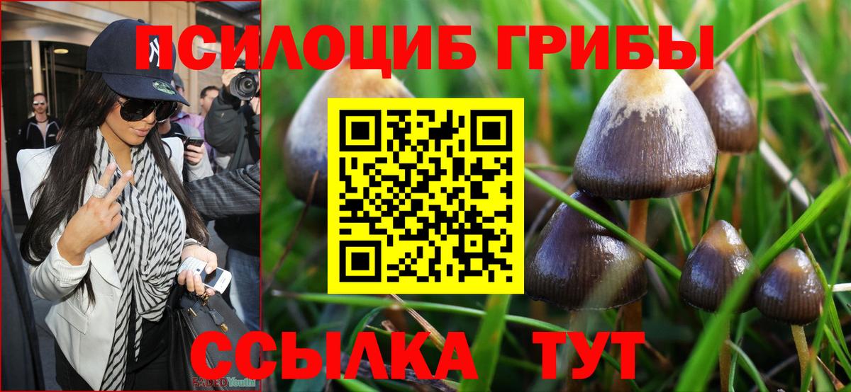 Галлюциногенные грибы Psilocybine cubensis  Вход с VPN  закладка  Курган  Галлюциногенные грибы GOLDEN TEACHER 