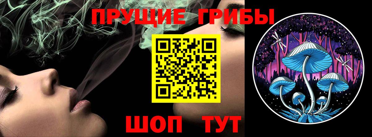 Галлюциногенные грибы прущие грибы Курган